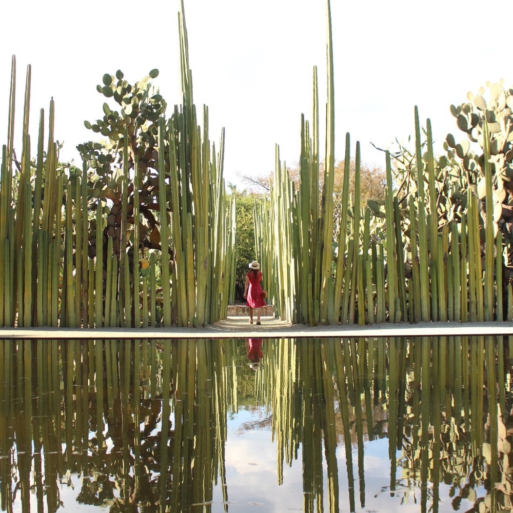 Meet your Posher, Bonnie